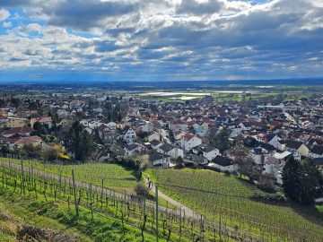 Blick von Schriesheim/Dossenheim auf die Rheinebene